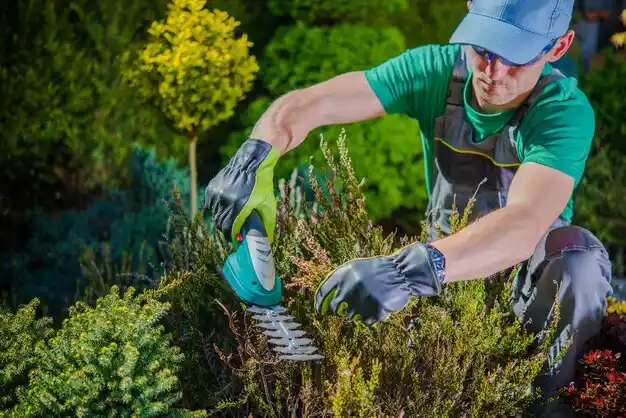 landscaping services South Euclid